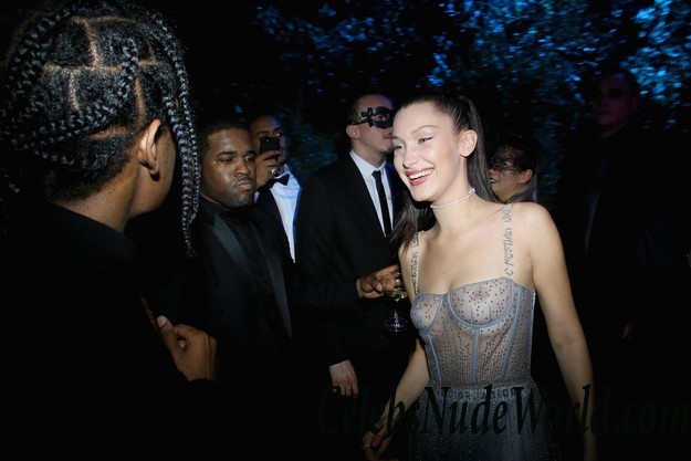 Bella Hadid See Through Dress At Dior Ball In Paris 24653