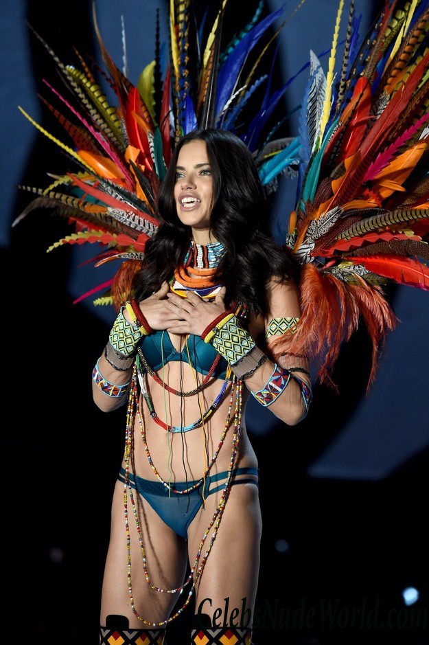 Adriana Lima See Thru Panties At VS Fashion Show 26614
