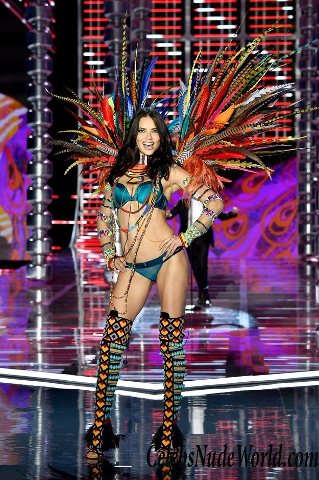 Adriana Lima See Thru Panties At VS Fashion Show 26619