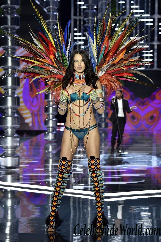 Adriana Lima See Thru Panties At VS Fashion Show 26622