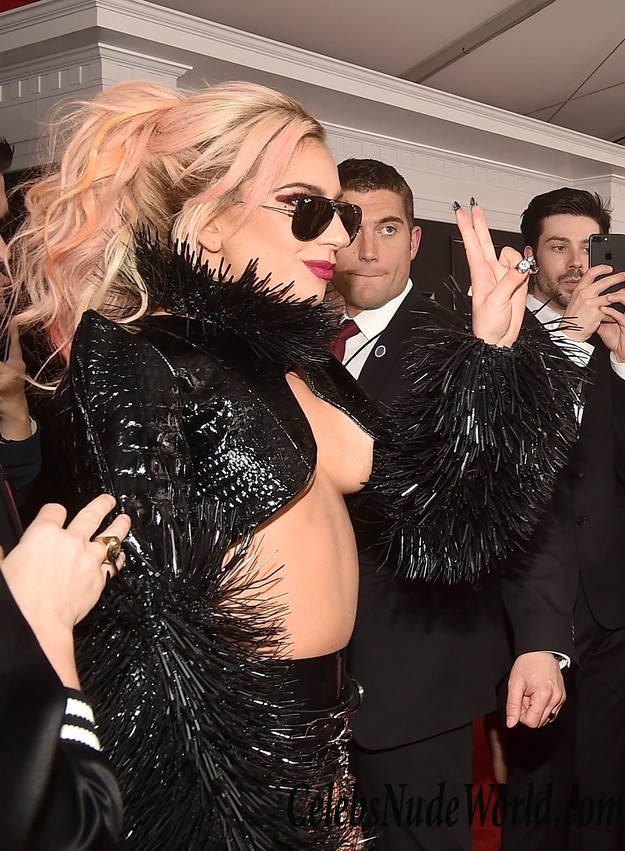 Lady Gaga Underboob Photos  33684