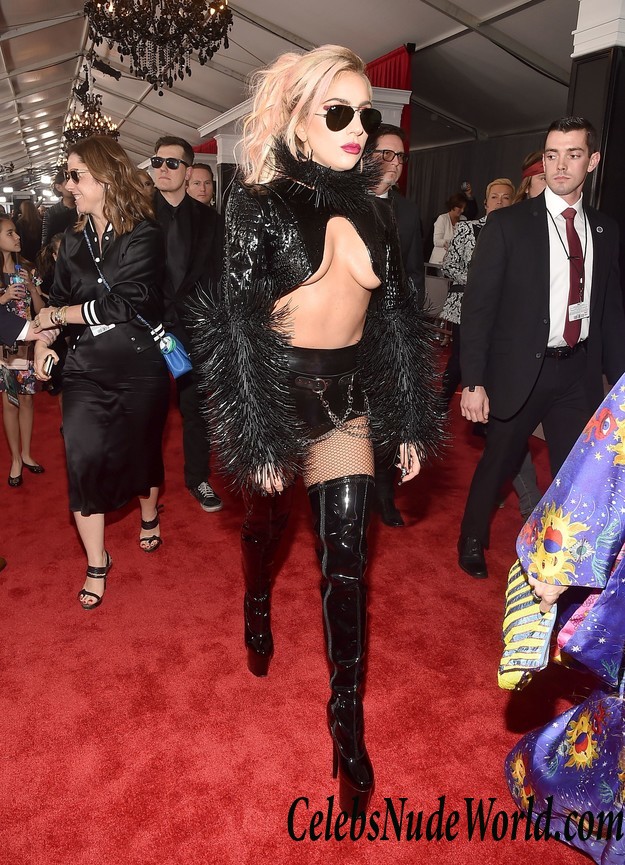 Lady Gaga Underboob Photos  33718