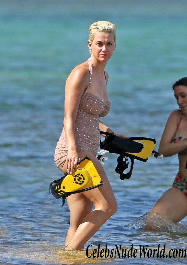 Katy Perry Erotic  34205