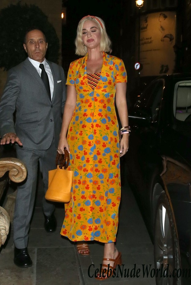 Katy Perry Sexy  34228