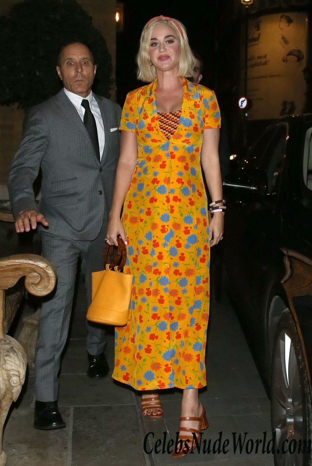 Katy Perry Sexy  34232