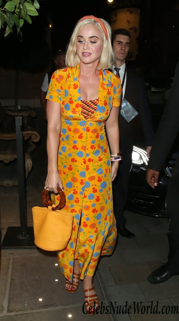 Katy Perry Sexy  34234