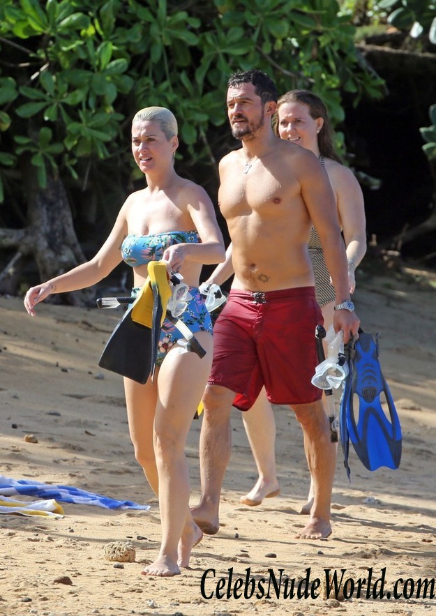 Katy Perry Bikini  34347