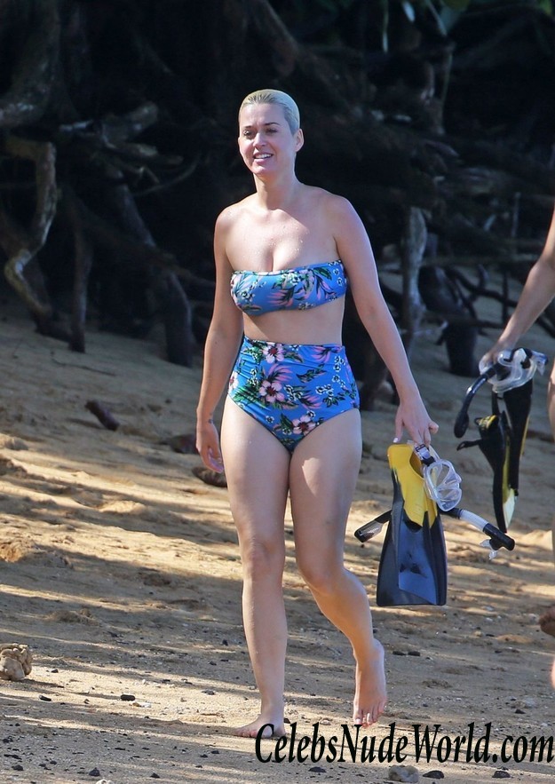 Katy Perry Bikini  34355