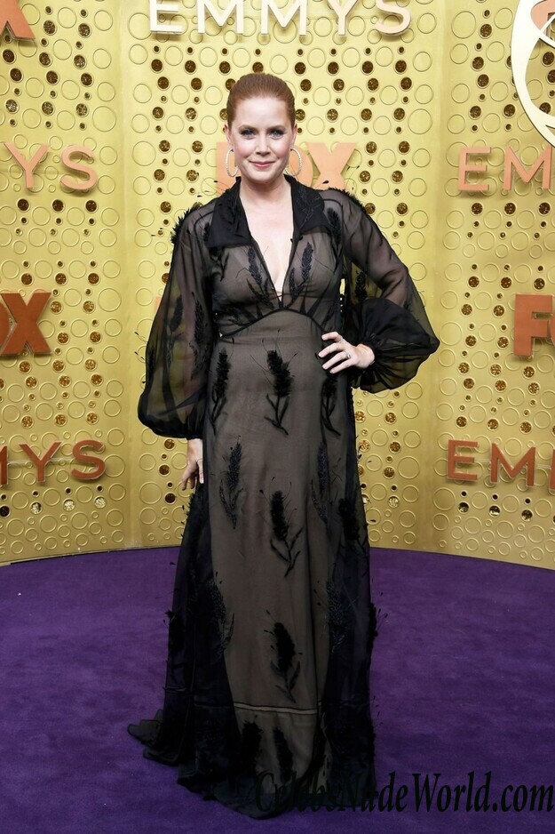 Amy Adams See Through 39049