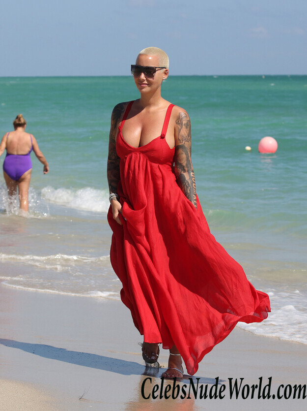 Amber Rose Bikini 42022
