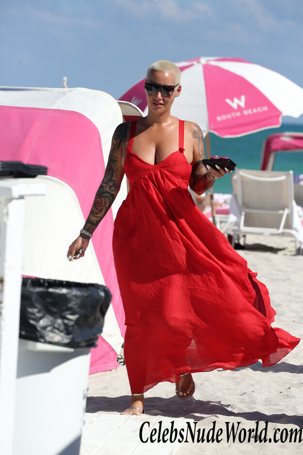 Amber Rose Bikini 42064