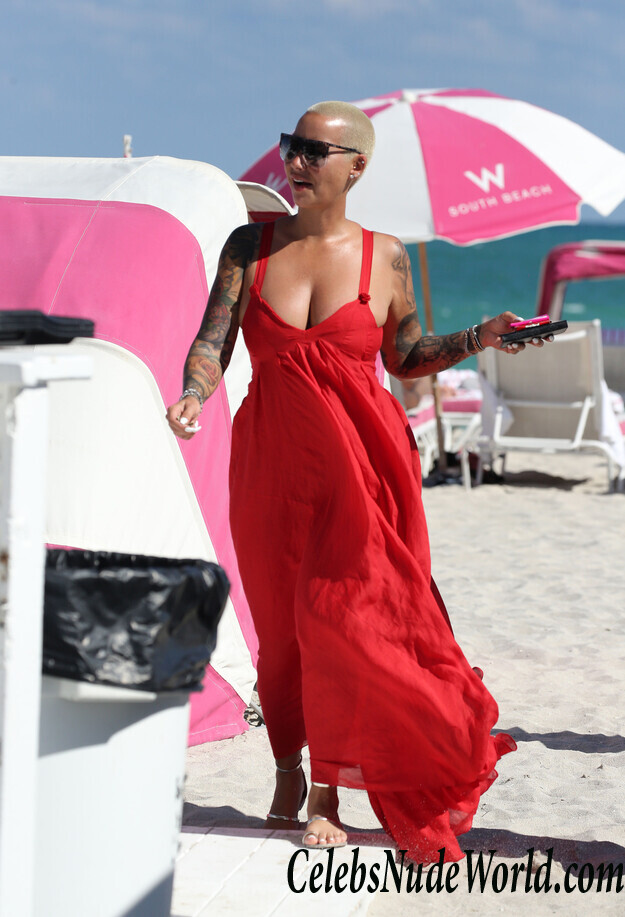 Amber Rose Bikini 42066