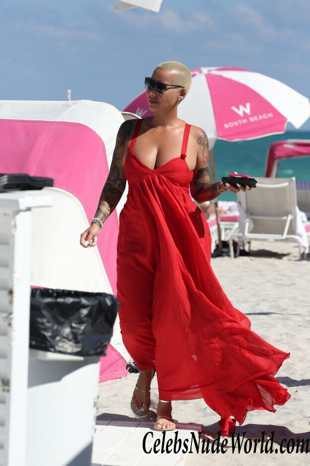 Amber Rose Bikini 42067