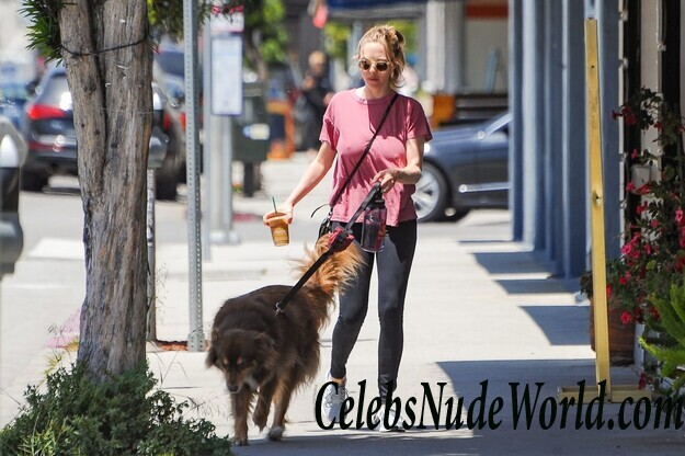 Amanda Seyfried Walking Around And Showing Nipples 45742