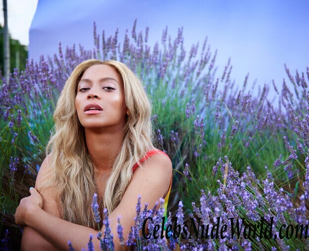 Sexy nudes of Beyonce 48064