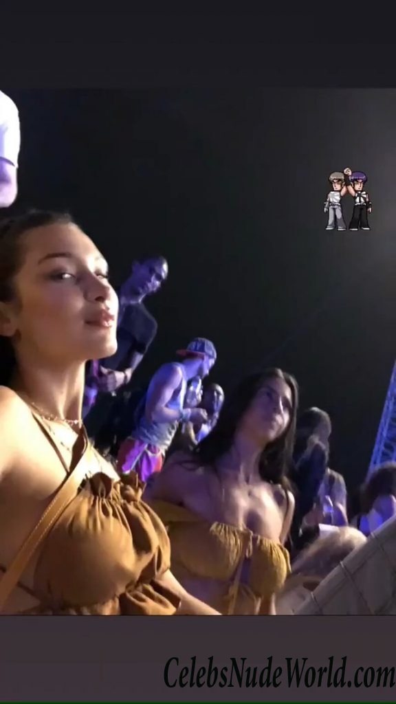 Bella Hadid Topless 48246