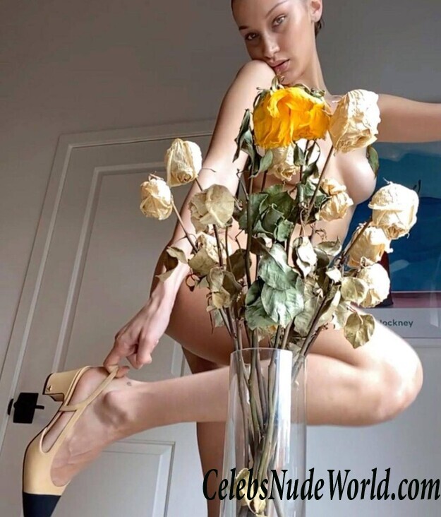 Bella Hadid Naked 50267