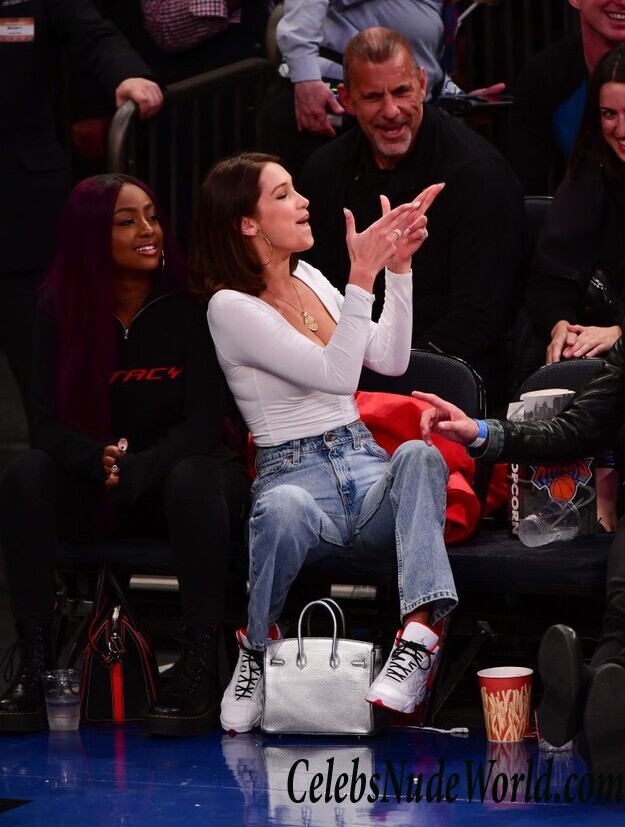 Bella Hadid Cleavage 52317