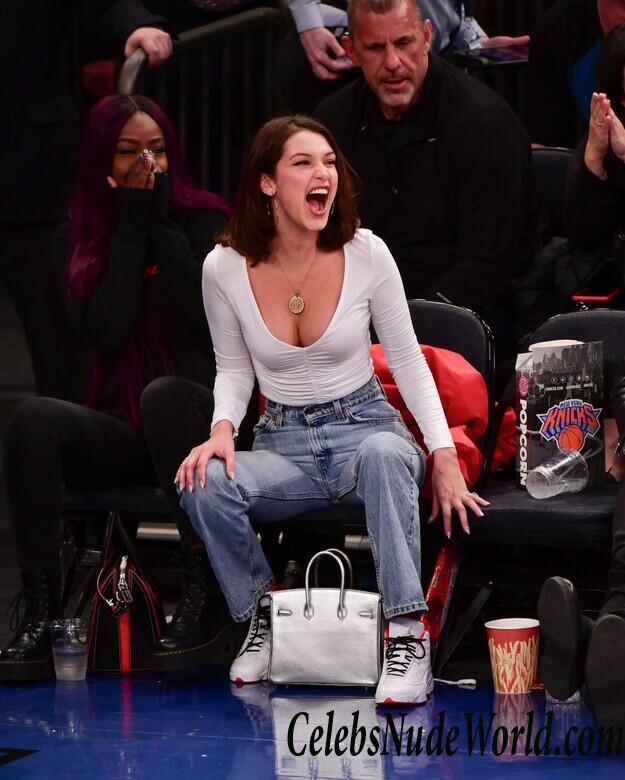 Bella Hadid Cleavage 52321