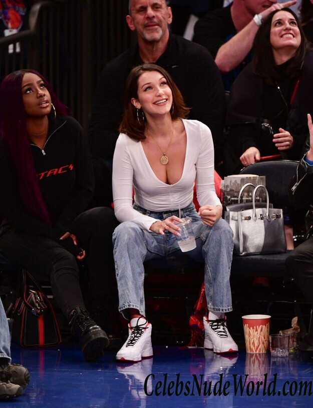 Bella Hadid Cleavage 52328