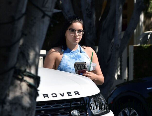 Ariel Winter: Annoyed And Incredibly Busty 54749