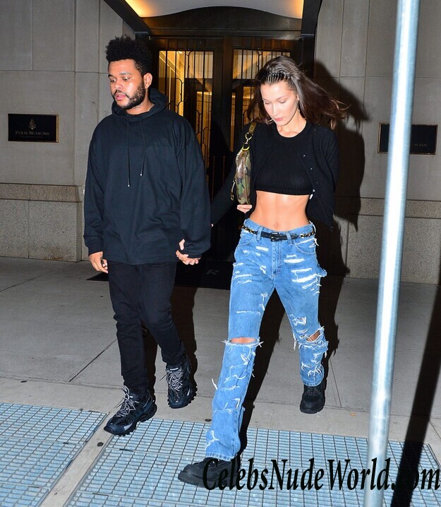 Bella Hadid Hot 54788