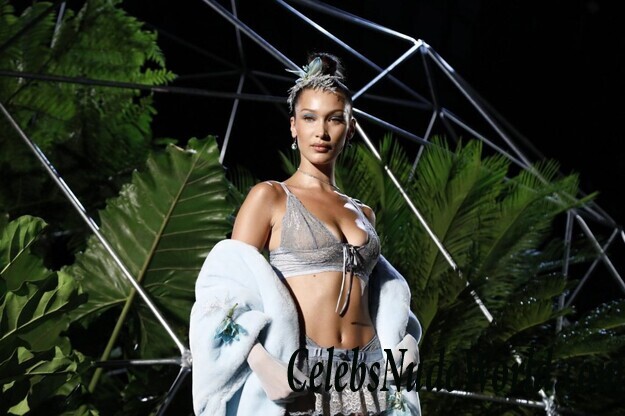 Bella Hadid Hot 54803