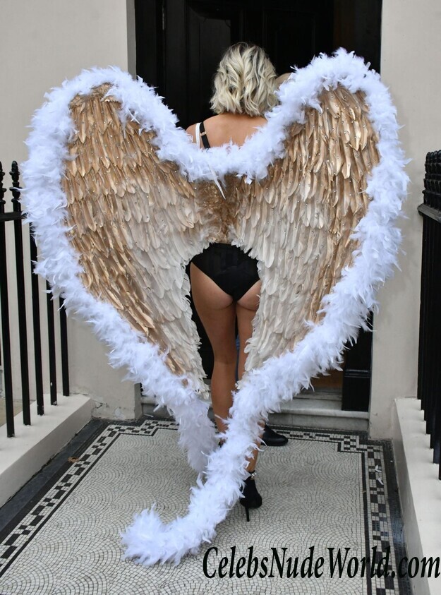 Ashley James Lingerie 55799