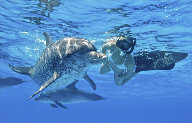 Hayden Panettiere 5723