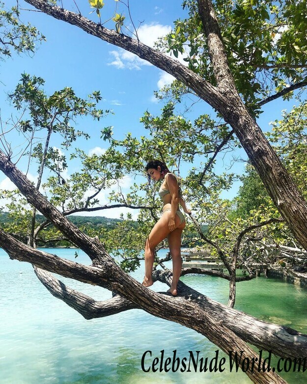 Charli XCX Hot 57690