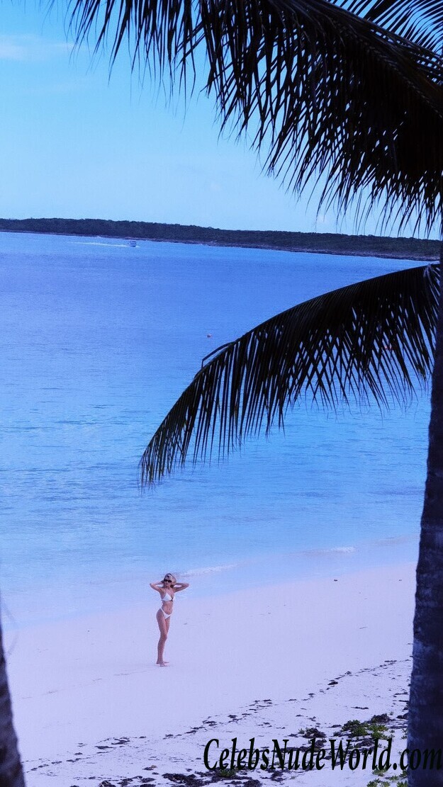 Charlotte McKinney Bikini 58748