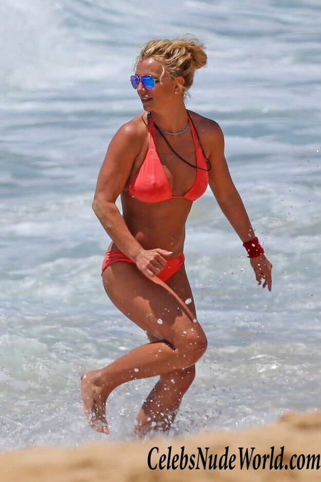 Britney Spears Did It Again: Looking Great In Bikini 59576