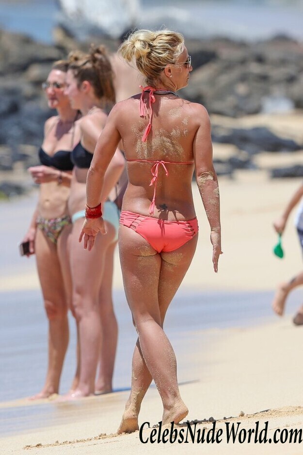Britney Spears Did It Again: Looking Great In Bikini 59586