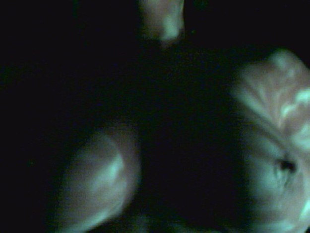 Leelee Sobieski nude 2 6063