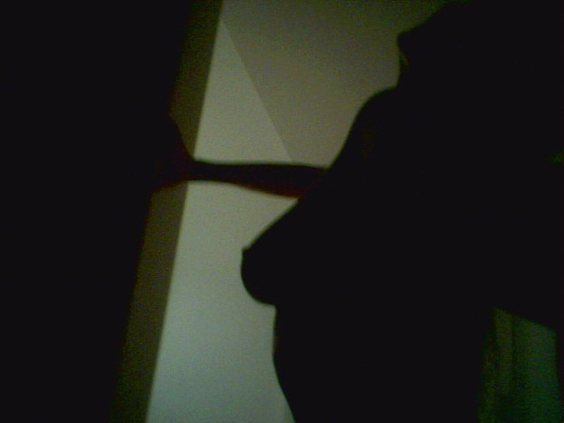 Leelee Sobieski nude 2 6079