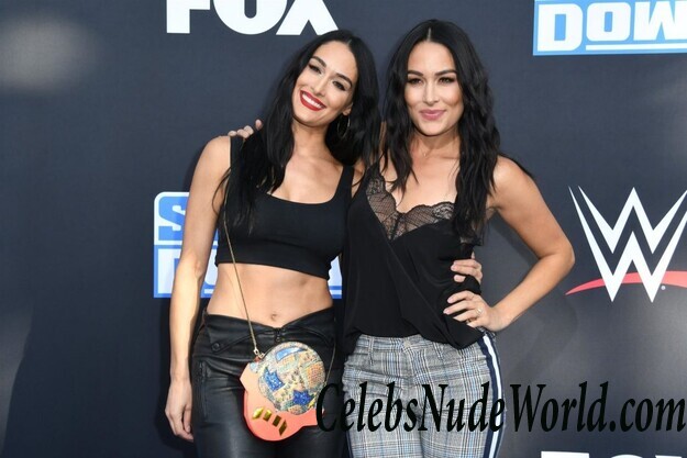 Brie Bella Sexy 66016