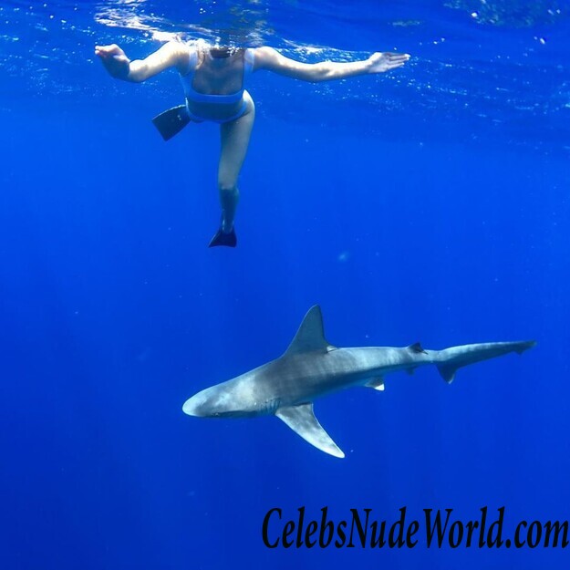 Christa B. Allen Bikini 73184