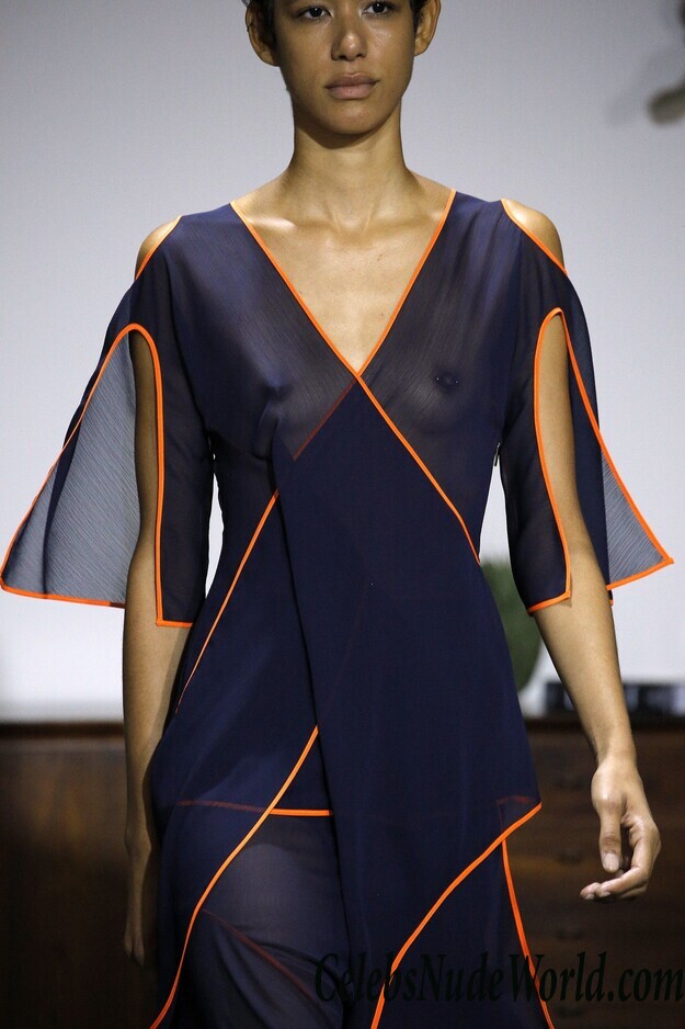 Janiece Dilone See Through Photos 87898