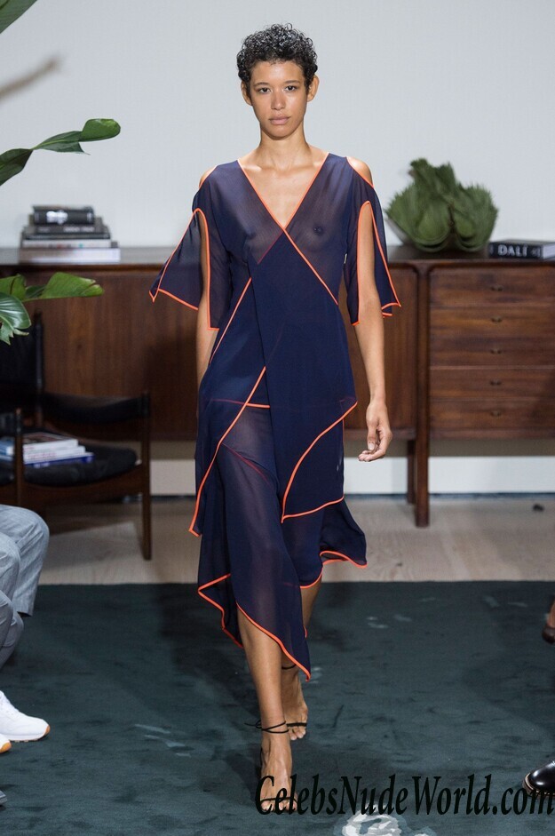 Janiece Dilone See Through Photos 87899