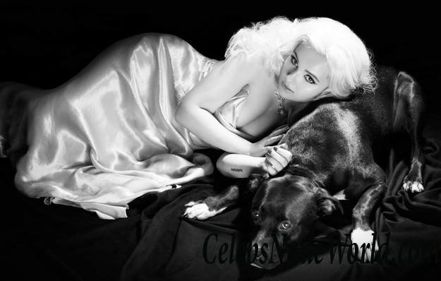 Abigail Breslin Erotic  8821