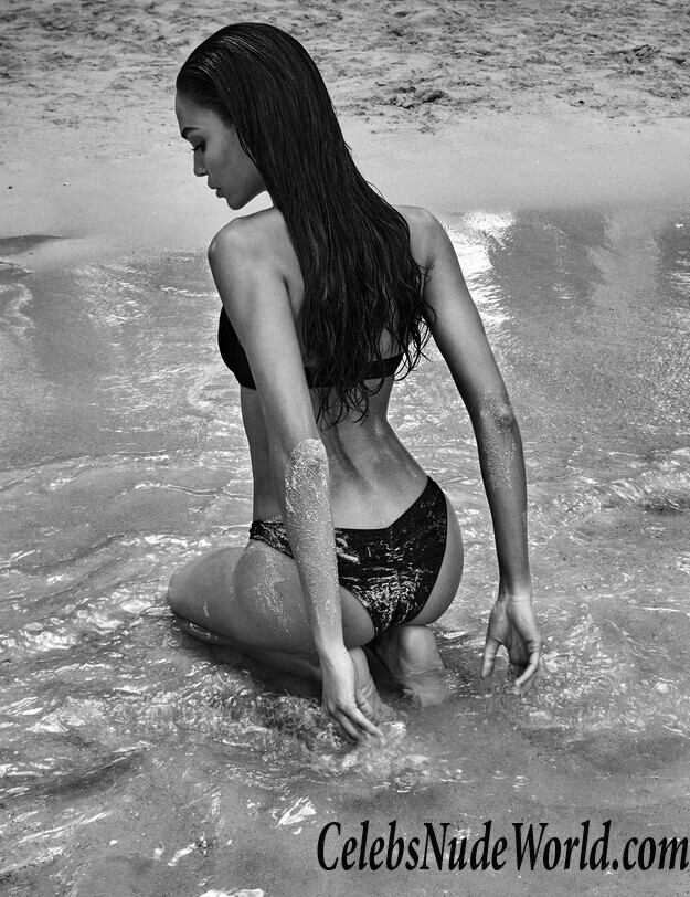 Joan Smalls Bikini 93649