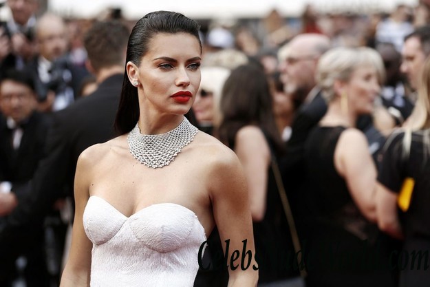 Adriana Lima Is A Classic Hottie (HQ Pictures)  9568