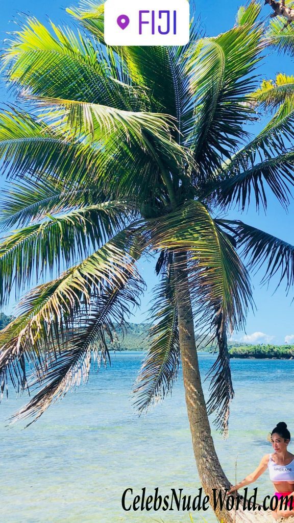 Farrah Abraham Sexy 96047