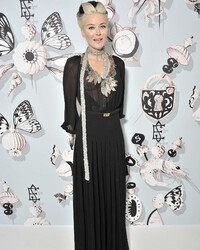 See through pics of Daphne Guinness