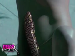 Aya Sugimoto JAV , Shokushu Goukan in Hana To Hebi 11