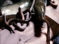 Kate Bell nude, boobs scene in Macbeth 3