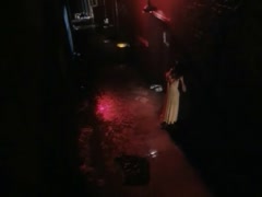 Rochelle Swanson in Indecent Behavior 2 1