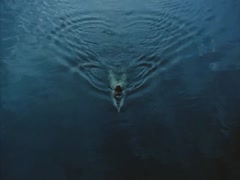 Nina Hosss in The Heart is a Dark Forest 10
