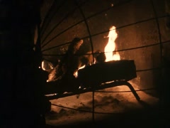 Teri Hatcher in Tales from the Crypt 14