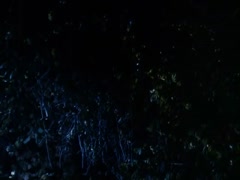 Teri Hatcher in Tales from the Crypt 16